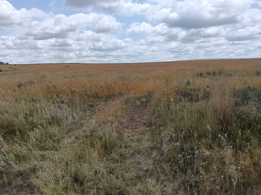 0 Bedroom Property for Sale in Lindley Rural Free State